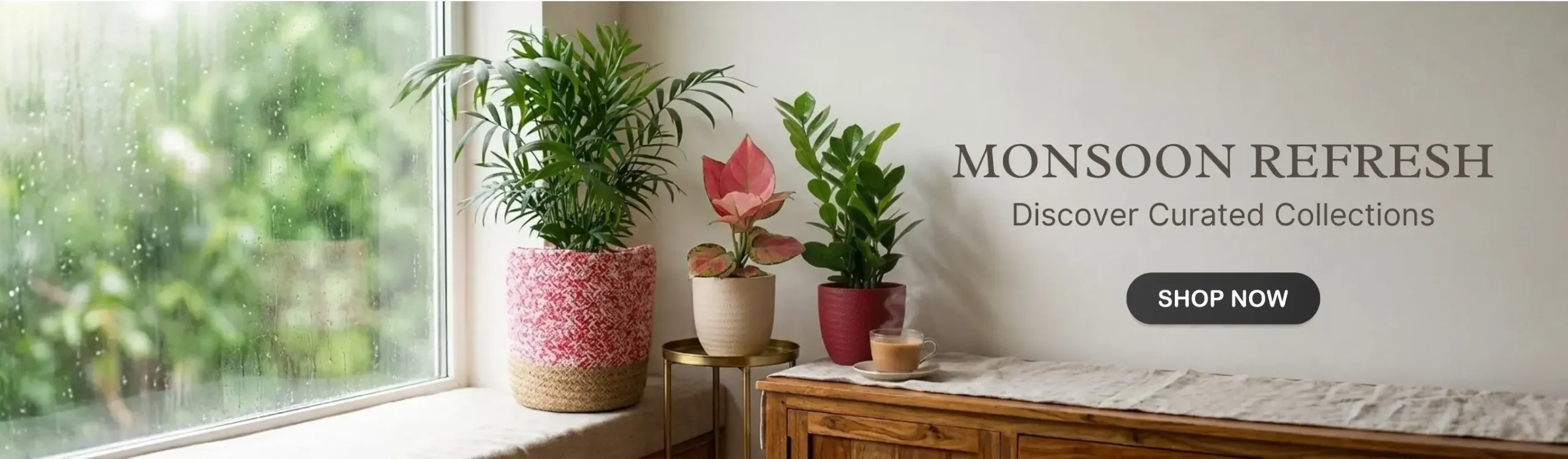 imgi 3 indoor plant plants monsoon month sale 2026 banner d greenkin
