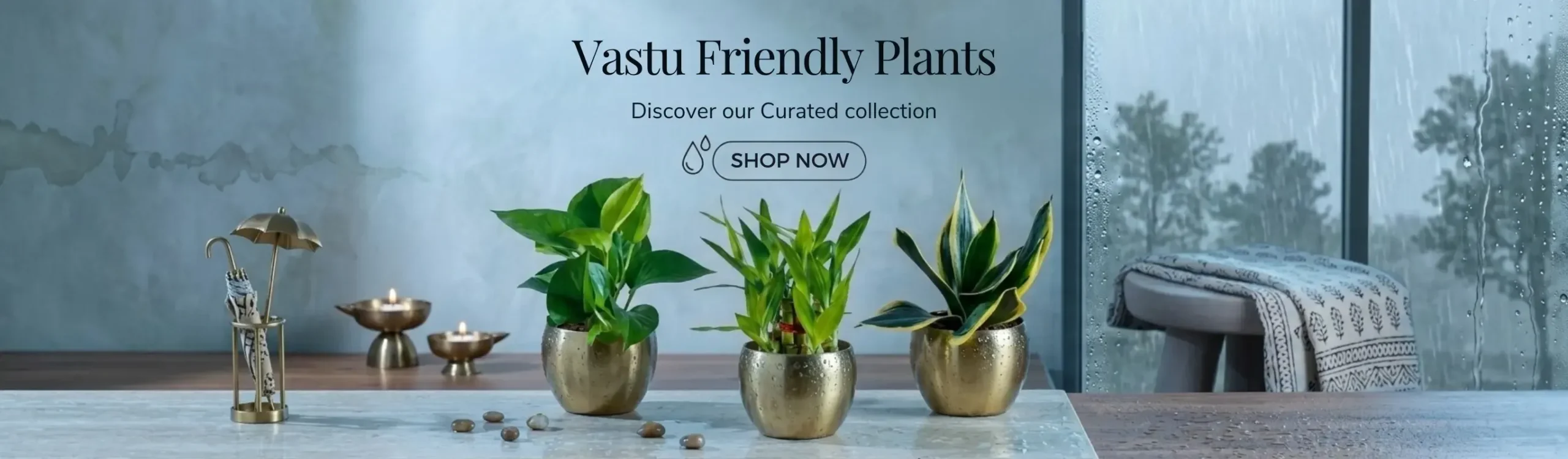 imgi 4 vastu plants set monsoon month sale 2026 banner d greenkin